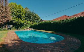 Cosy - Best Rest Potch